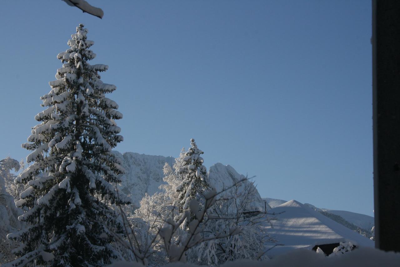 Apartamenty Paradis Zakopane Exterior photo